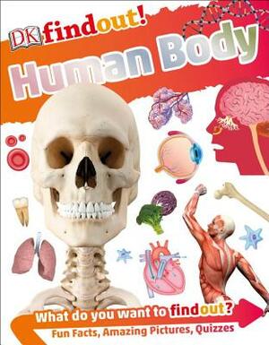 Dkfindout! Human Body by D.K. Publishing