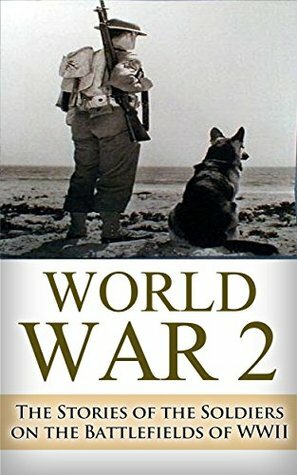 World War 2 Soldier Stories: The Untold Stories of the Soldiers on the Battlefields of WWII by Ryan Jenkins
