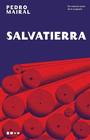 Salvatierra by Pedro Mairal
