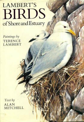 Birds of Shore and Estuary by Terence Lambert