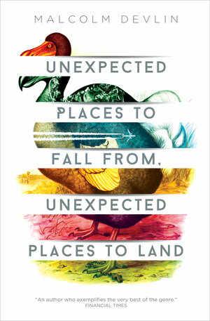 Unexpected Places to Fall From, Unexpected Places to Land by Malcolm Devlin