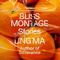 Bliss Montage by Ling Ma