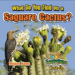 What Do You Find on a Saguaro Cactus? by Megan Kopp