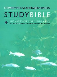 The HarperCollins Study Bible: New Revised Standard Version by Wayne A. Meeks, Jouette M. Bassler