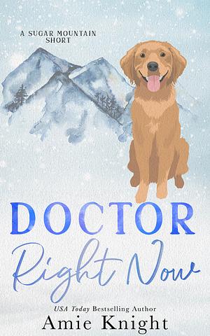 Doctor Right Now by Amie Knight