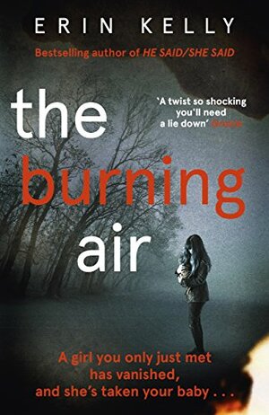 The burning air by Erin Kelly