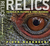 Relics: Travels in Nature's Time Machine by Cristina Goettsch Mittermeier, Piotr Naskrecki