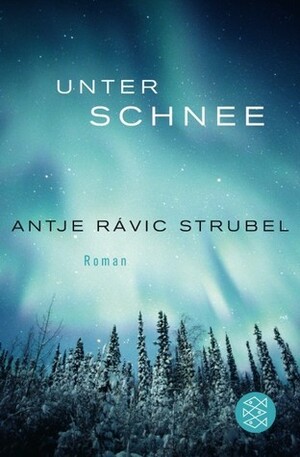 Unter Schnee by Antje Rávik Strubel