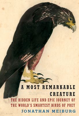 A Most Remarkable Creature by Jonathan Meiburg