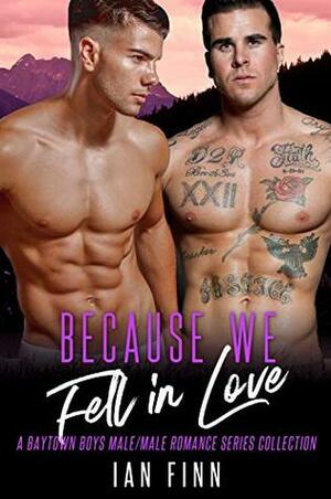 Because We Fell in Love by Ian Finn