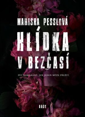 Hlídka v Bezčasí by Marisha Pessl, Veronika Volhejnová