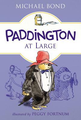 Paddington at Large by Michael Bond