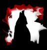 enchanten's profile picture