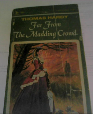 Far from the Madding Crowd by Thomas Hardy