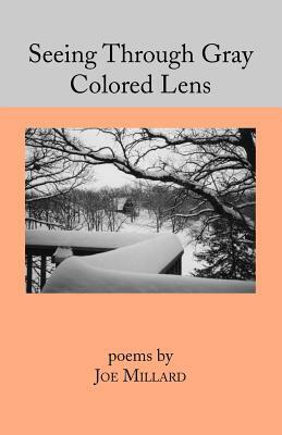 Seeing Through Gray Colored Lens by Joe Millard
