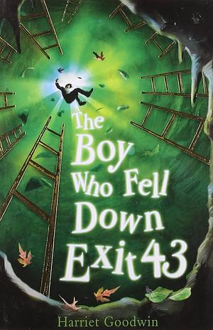 The Boy Who Fell Down Exit 43 by Harriet Goodwin