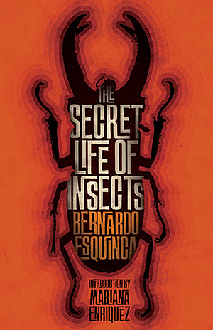 The Secret Life of Insects and Other Stories by Bernardo Esquinca