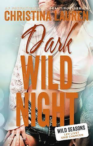 Dark Wild Night by Christina Lauren