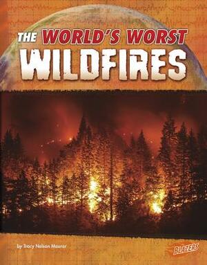 The World's Worst Wildfires by Tracy Nelson Maurer