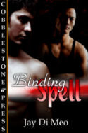 Binding Spell by Jay Di Meo