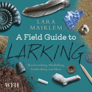 A Field Guide to Larking by Lara Maiklem