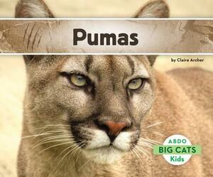 Pumas by Claire Archer