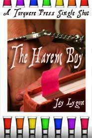 The Harem Boy by Jay Lygon
