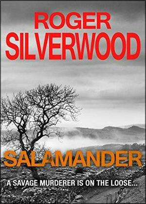 Salamander by Roger Silverwood