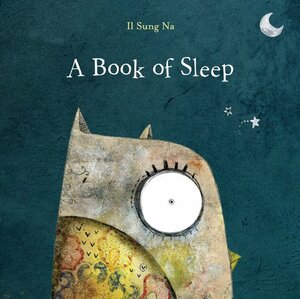 A Book of Sleep by Il Sung Na