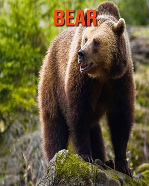 Bear: Learn About Bear and Enjoy Colorful Pictures by Diane Jackson