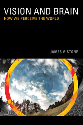 Vision: How We Perceive the World by James V. Stone