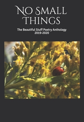 No Small Things: The Beautiful Stuff Poetry Anthology 2019-2020 by Rebecca Cuthbert, Ben Brizell, Sid Sibo