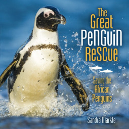 The Great Penguin Rescue: Saving the African Penguins by Sandra Markle