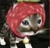 oatmilk_alex's profile picture
