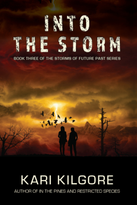 Into the Storm by Kari Kilgore