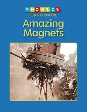 Amazing Magnets by Wiley Blevins