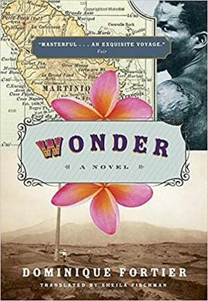 Wonder by Dominique Fortier