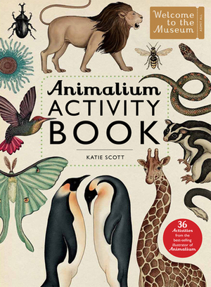 Animalium Activity Book by Katie Scott