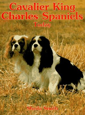 Cavalier King Charles Spaniels Today by Sheila Smith