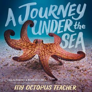 A Journey Under the Sea by Craig Foster