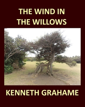 THE WIND IN THE WILLOWS KENNETH GRAHAME Large Print by Kenneth Grahame