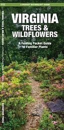 Oklahoma Trees and Wildflowers: An Introduction to Familiar Plants by James Kavanagh, Waterford Press