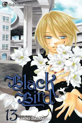 Black Bird, Volume 13 by Kanoko Sakurakouji