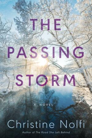 The Passing Storm by Christine Nolfi