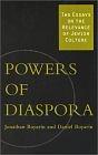 Powers of Diaspora: Two Essays on the Relevance of Jewish Culture by Jonathan Boyarin, Daniel Boyarin
