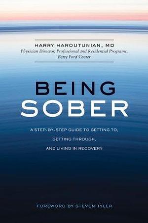 Being Sober by Harry Harootunian, Harry Harootunian, Steven Tyler
