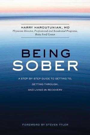 Being Sober by Steven Tyler, Harry Harootunian, Harry Harootunian