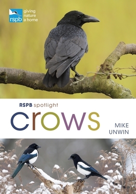 Rspb Spotlight Crows by Mike Unwin