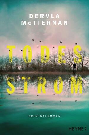 Todesstrom by Dervla McTiernan