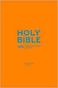 Holy Bible: New International Version (Cyan Soft-tone Bible with Zip) (Cyan Soft-tone with Zip) by Anonymous